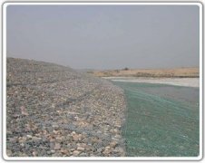 <b>雷諾護(hù)墊</b>