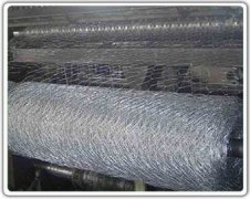 <b>鍍鋅石籠網(wǎng)</b>